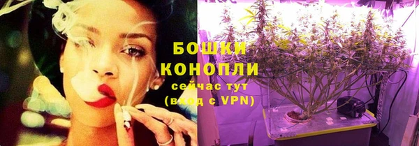 прущий лед Вяземский