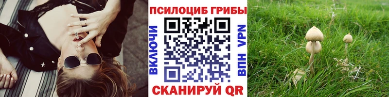 hydra онион  Нолинск  Галлюциногенные грибы мухоморы 